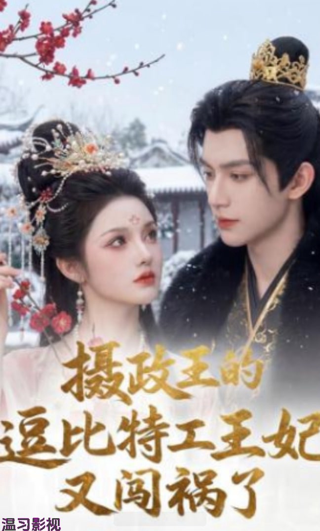 摄政王的逗比特工王妃又闯祸了