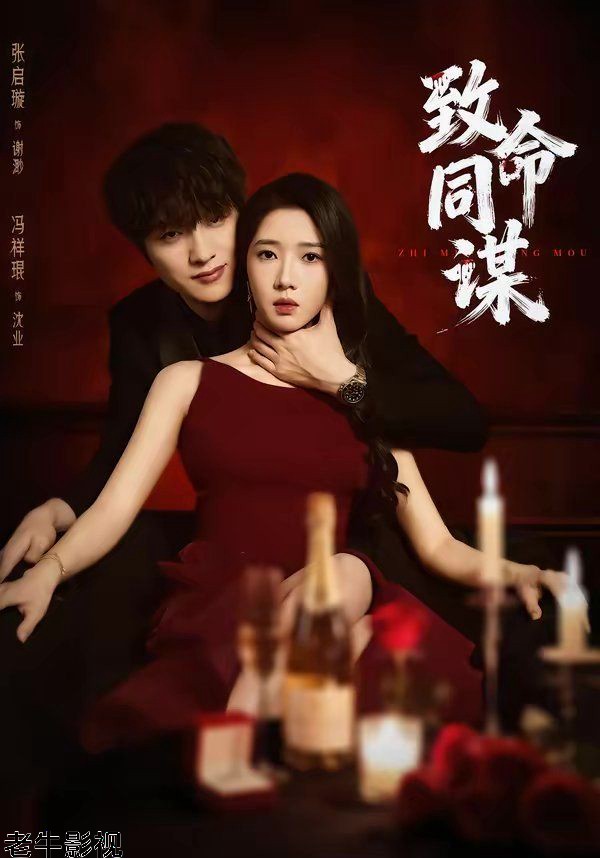 致命同谋