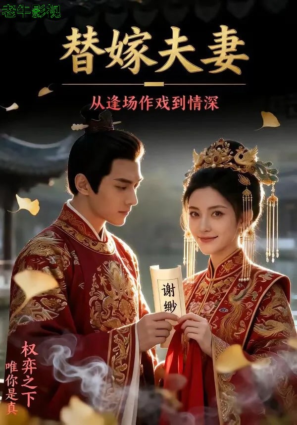 替嫁夫妻：从逢场作戏到情深