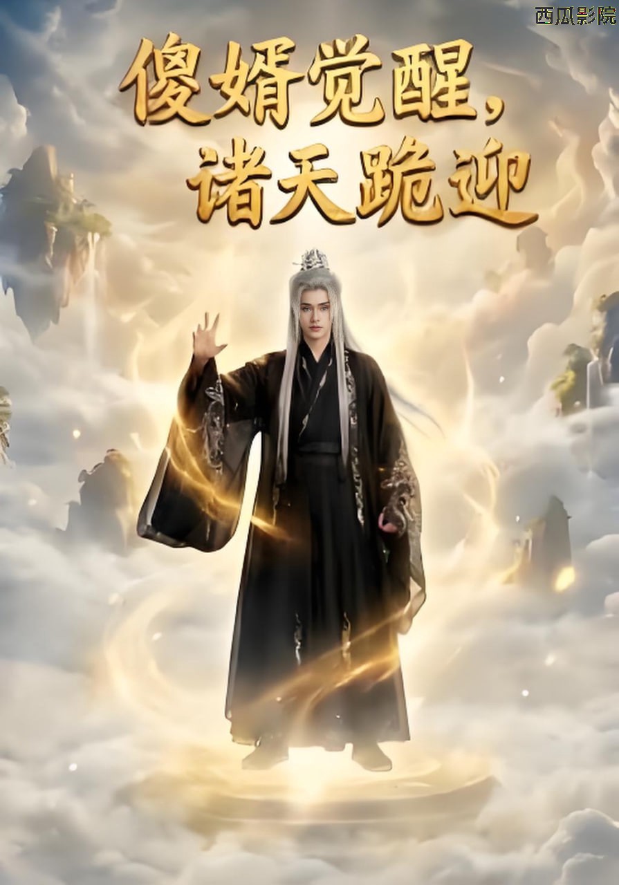 傻婿觉醒，诸天跪迎